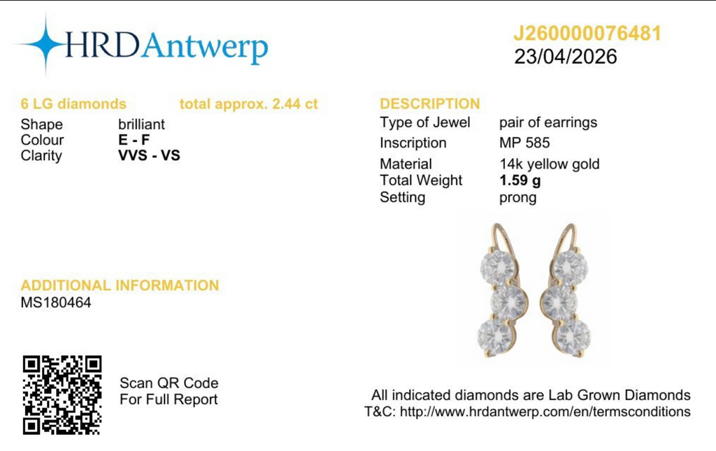 Exklusive Lab-Grown Diamant-Ohrringe in 14 kt Gelbgold – Zertifiziert von HRD Antwerp